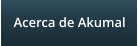 Acerca de Akumal